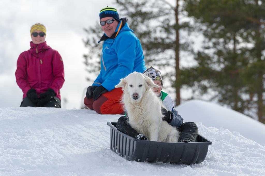 Yllaeksen Yoepuu Vila Äkäslompolo Exterior foto