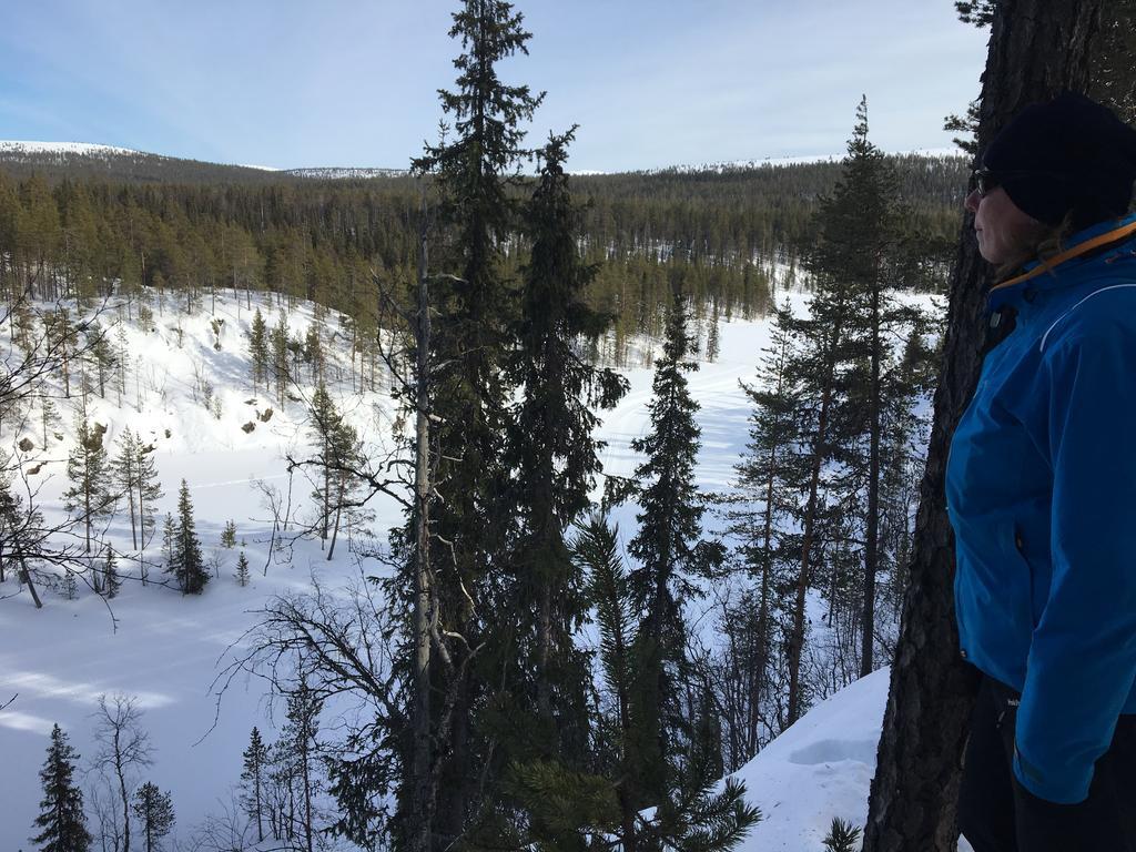 Yllaeksen Yoepuu Vila Äkäslompolo Exterior foto