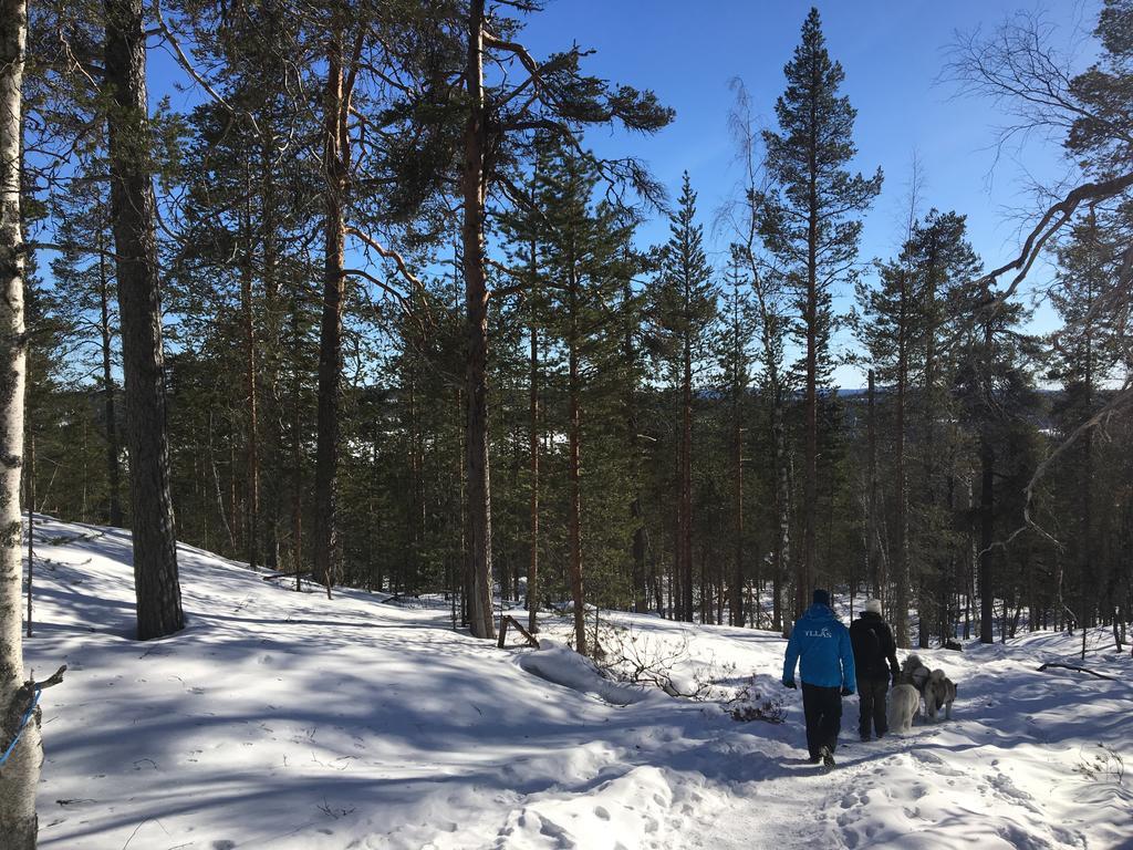 Yllaeksen Yoepuu Vila Äkäslompolo Exterior foto
